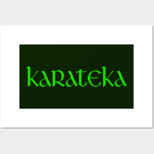 Karateka retro game title Posters and Art